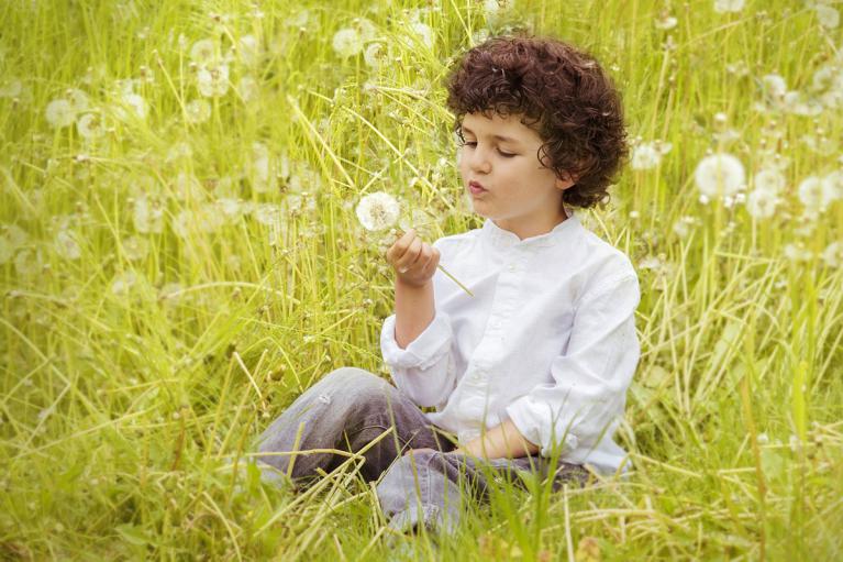 Curiosité, émerveillement, apprendre en faisant Curiosité, émerveillement, apprendre en faisant